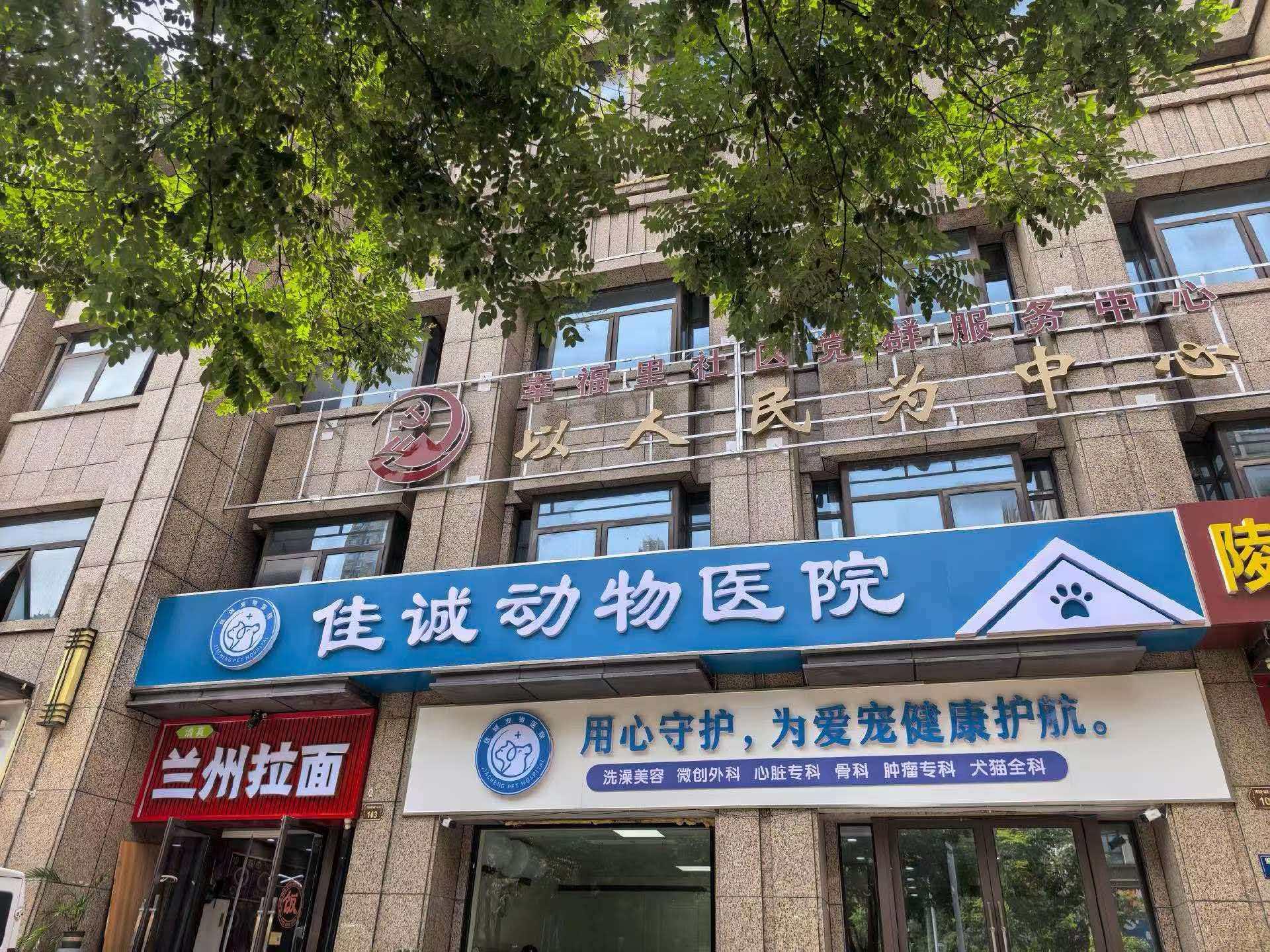 动物医院