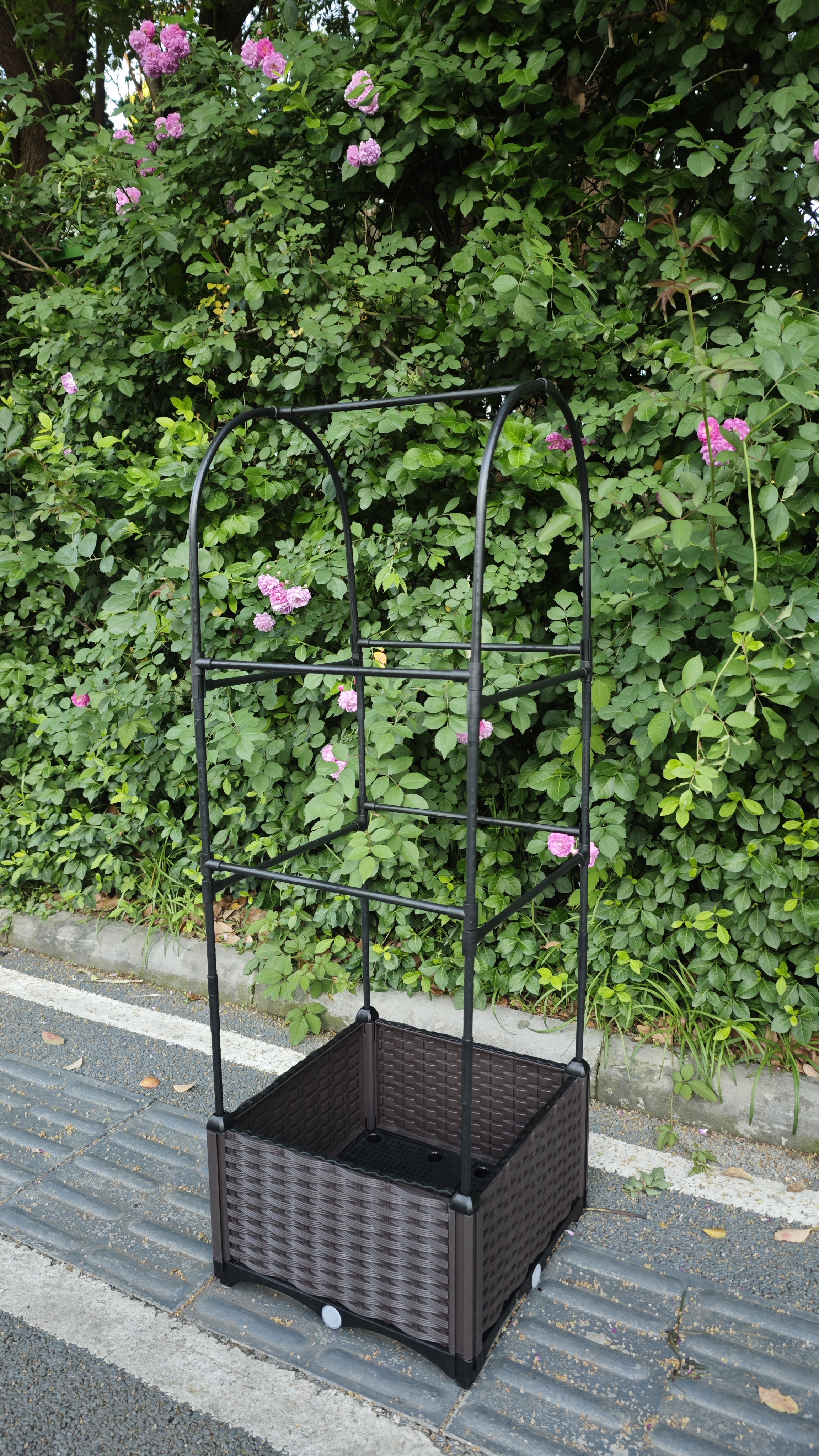 家庭菜园组装种植箱套装